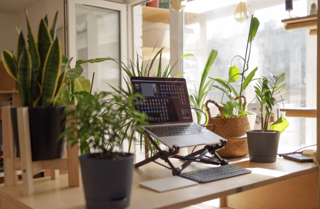genz-workplace-expectation